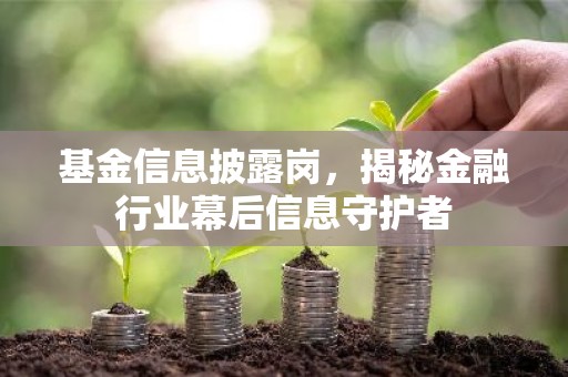 基金信息披露岗，揭秘金融行业幕后信息守护者