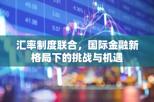 汇率制度联合，国际金融新格局下的挑战与机遇