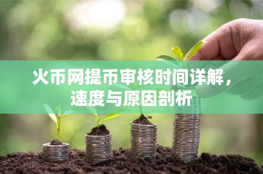 火币网提币审核时间详解，速度与原因剖析