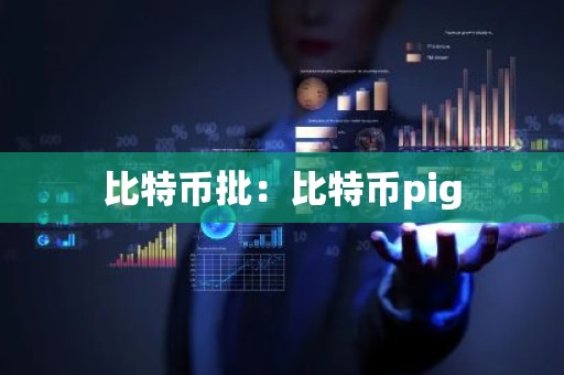 比特币批：比特币pig