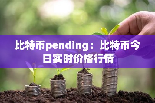 比特币pending：比特币今日实时价格行情