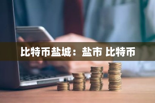 比特币盐城：盐市 比特币