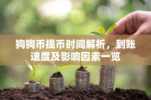 狗狗币提币时间解析，到账速度及影响因素一览