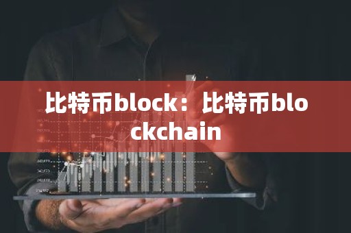 比特币block：比特币blockchain