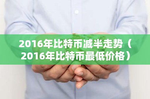2016年比特币减半走势（2016年比特币最低价格）
