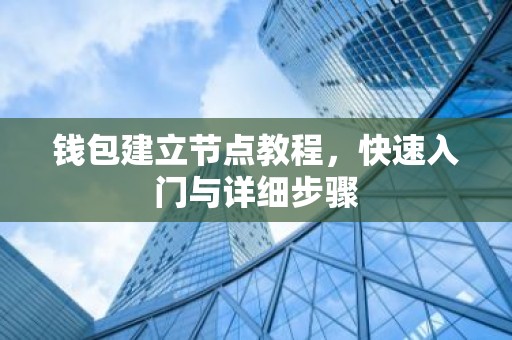 钱包建立节点教程，快速入门与详细步骤