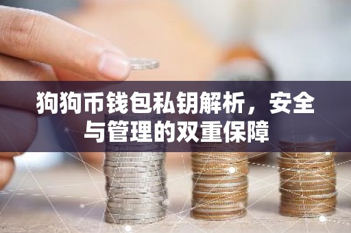 狗狗币钱包私钥解析，安全与管理的双重保障