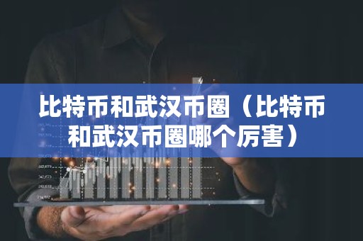 比特币和武汉币圈（比特币和武汉币圈哪个厉害）