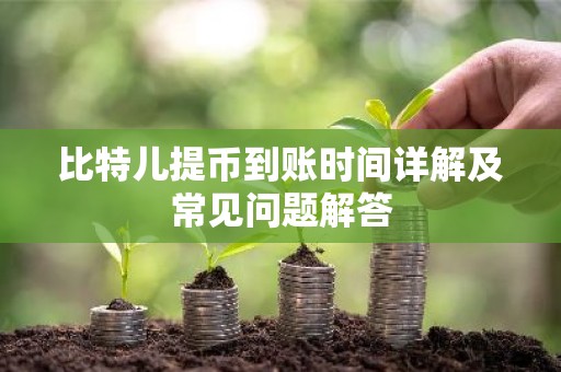 比特儿提币到账时间详解及常见问题解答