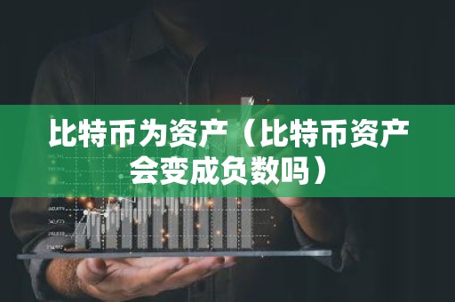 比特币为资产（比特币资产会变成负数吗）