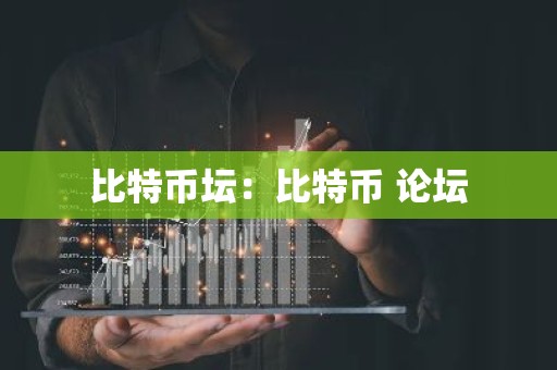 比特币坛：比特币 论坛