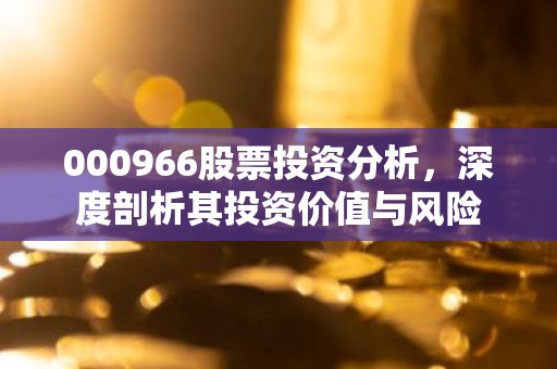 000966股票投资分析，深度剖析其投资价值与风险