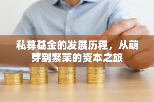 私募基金的发展历程，从萌芽到繁荣的资本之旅