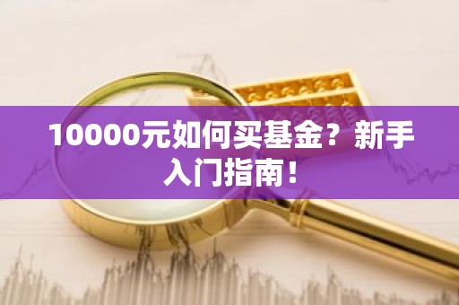 10000元如何买基金？新手入门指南！