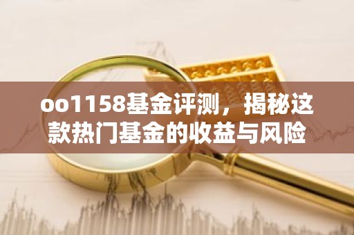 oo1158基金评测，揭秘这款热门基金的收益与风险