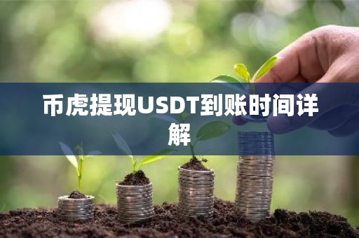 币虎提现USDT到账时间详解
