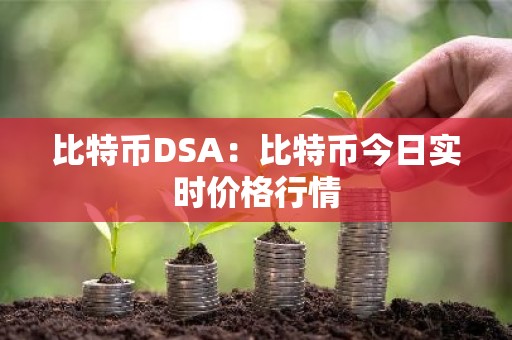 比特币DSA：比特币今日实时价格行情