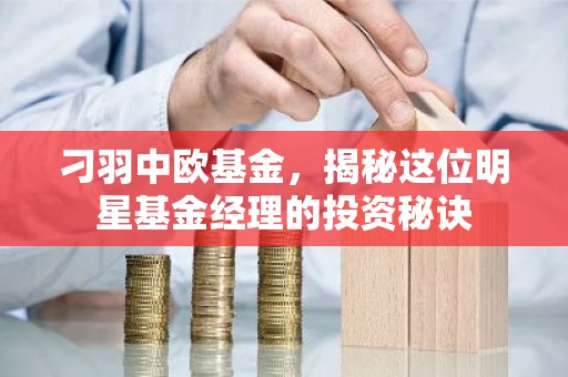 刁羽中欧基金，揭秘这位明星基金经理的投资秘诀
