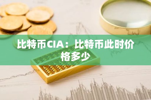 比特币CIA：比特币此时价格多少