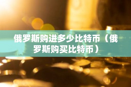 俄罗斯购进多少比特币（俄罗斯购买比特币）