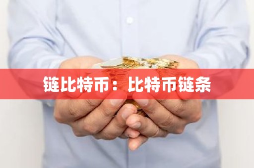 链比特币：比特币链条