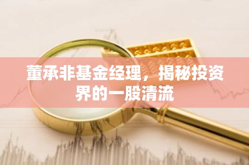 董承非基金经理，揭秘投资界的一股清流