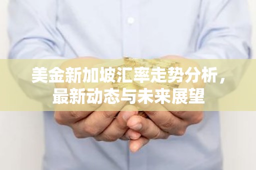 美金新加坡汇率走势分析，最新动态与未来展望