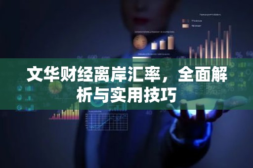 文华财经离岸汇率，全面解析与实用技巧