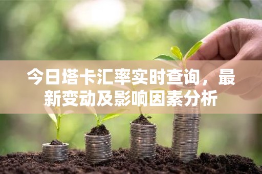 今日塔卡汇率实时查询，最新变动及影响因素分析