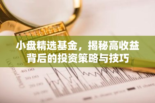 小盘精选基金，揭秘高收益背后的投资策略与技巧