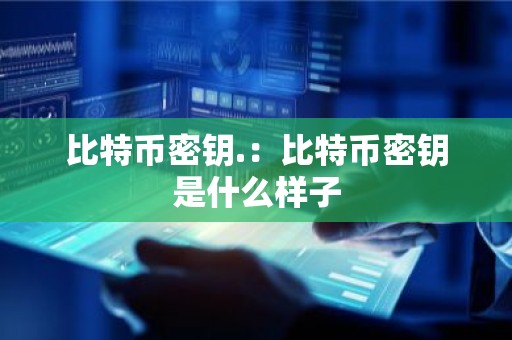 比特币密钥.：比特币密钥是什么样子