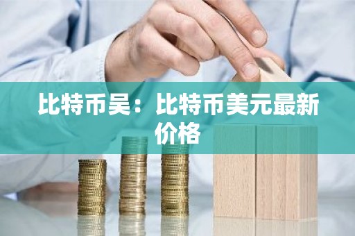 比特币吴：比特币美元最新价格