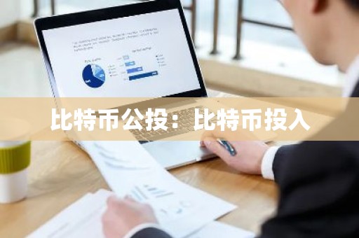 比特币公投：比特币投入