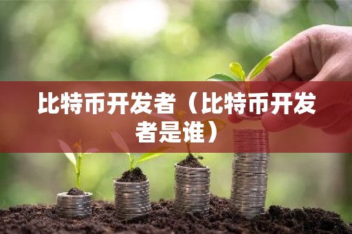 比特币开发者（比特币开发者是谁）