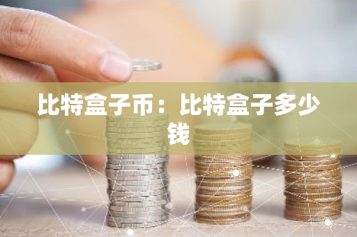比特盒子币：比特盒子多少钱