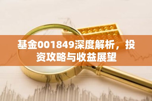 基金001849深度解析，投资攻略与收益展望