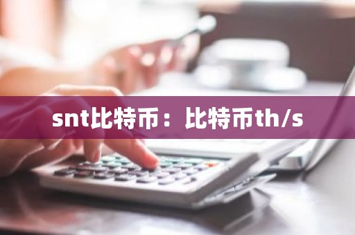 snt比特币：比特币th/s