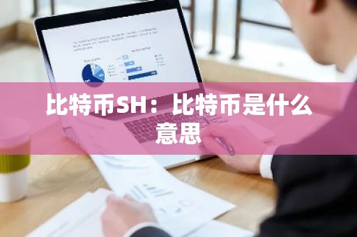 比特币SH：比特币是什么意思
