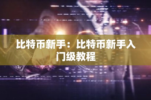 比特币新手：比特币新手入门级教程