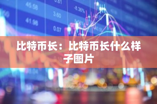 比特币长：比特币长什么样子图片
