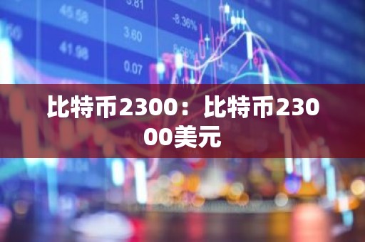 比特币2300：比特币23000美元