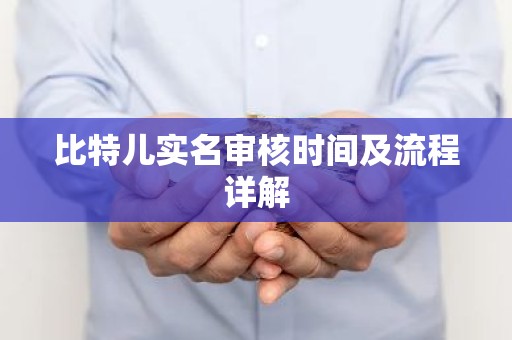 比特儿实名审核时间及流程详解