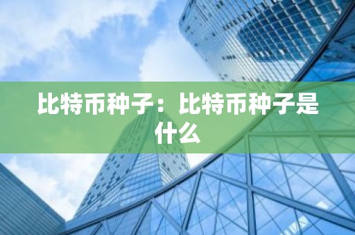 比特币种子：比特币种子是什么