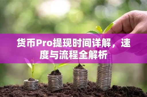 货币Pro提现时间详解，速度与流程全解析