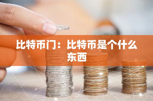 比特币门：比特币是个什么东西