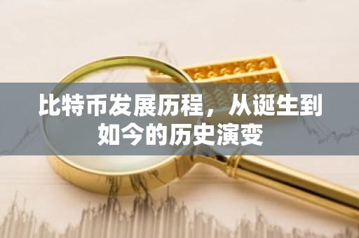 比特币发展历程，从诞生到如今的历史演变