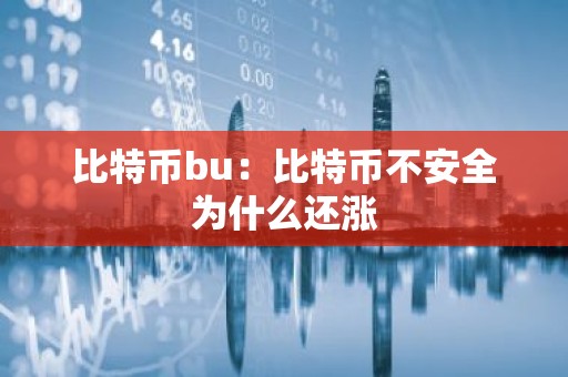 比特币bu：比特币不安全为什么还涨