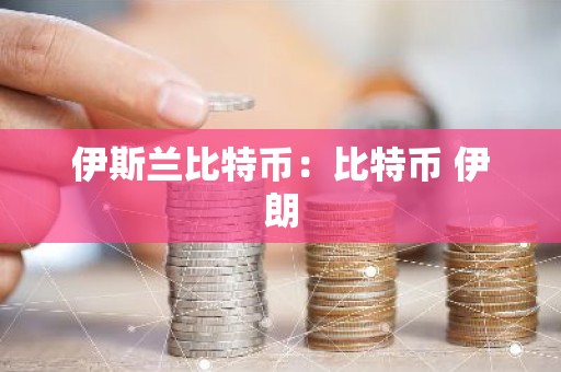 伊斯兰比特币：比特币 伊朗