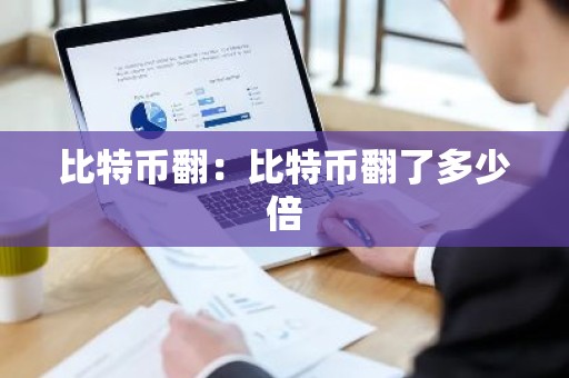 比特币翻：比特币翻了多少倍