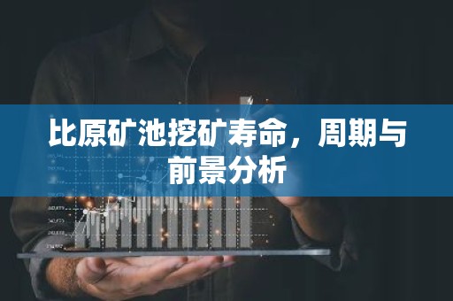 比原矿池挖矿寿命，周期与前景分析